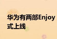 华为有两部Enjoy 20系列手机在排队等待正式上线