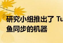 研究小组推出了 Tunabot 这是第一种与金枪鱼同步的机器