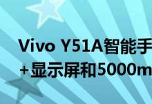 Vivo Y51A智能手机推出配备6.58英寸FHD+显示屏和5000mAh电池