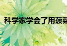 科学家学会了用菠菜探测爆炸物并监测气候