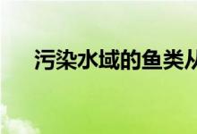 污染水域的鱼类从另一个地方窃取基因