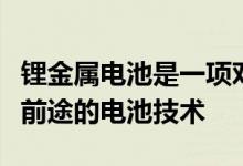 锂金属电池是一项对电动汽车及其他设备更有前途的电池技术