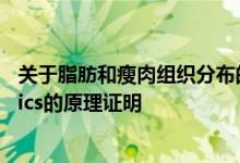 关于脂肪和瘦肉组织分布的详细的全身图像分析技术Imiomics的原理证明