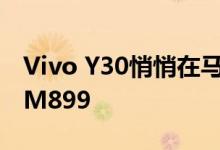 Vivo Y30悄悄在马来西亚发布 目前售价为RM899