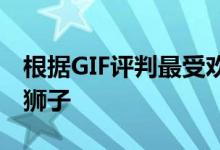 根据GIF评判最受欢迎影片小人在线是迪士尼狮子