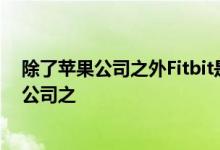 除了苹果公司之外Fitbit是智能手表和健身带市场上最大的公司之