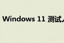 Windows 11 测试人员拥有难得的换机机会