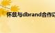 怀兹与dbrand合作以伪装其户外摄像头