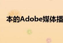 本的Adobe媒体播放器分为两个关键领域